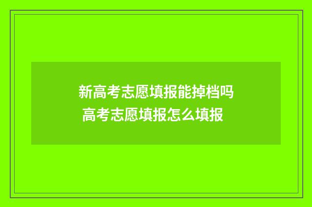 新高考志愿填报能掉档吗 高考志愿填报怎么填报