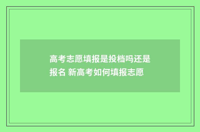 高考志愿填报是投档吗还是报名 新高考如何填报志愿