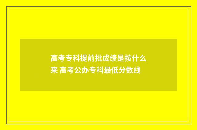 高考专科提前批成绩是按什么来 高考公办专科最低分数线