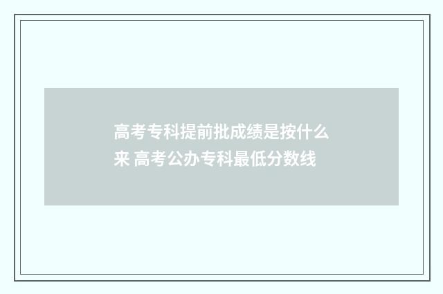 高考专科提前批成绩是按什么来 高考公办专科最低分数线