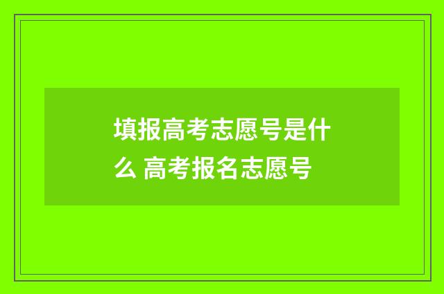 填报高考志愿号是什么 高考报名志愿号