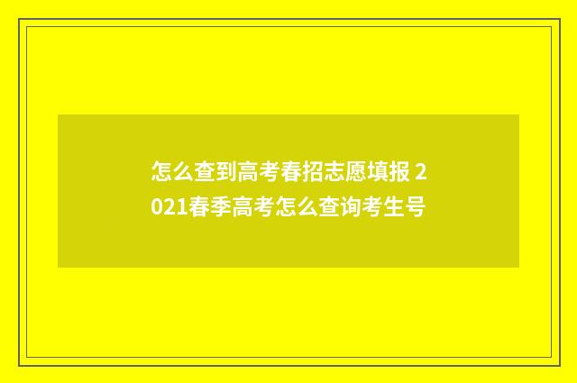 怎么查到高考春招志愿填报 2021春季高考怎么查询考生号