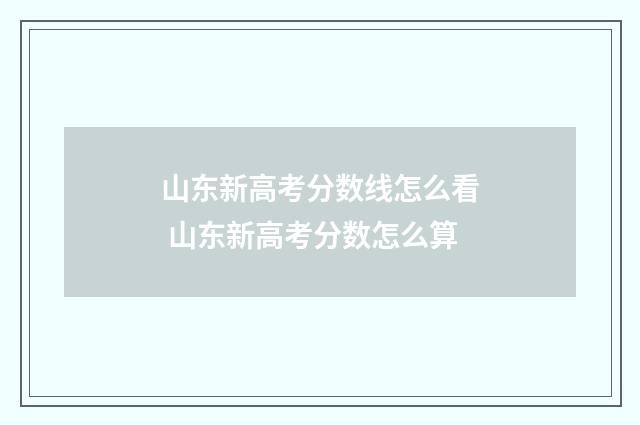 山东新高考分数线怎么看 山东新高考分数怎么算