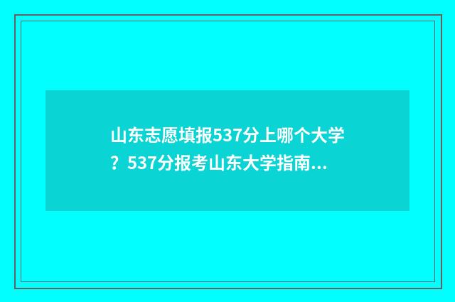 山东志愿填报537分上哪个大学？537分报考山东大学指南 山东志愿填报网站