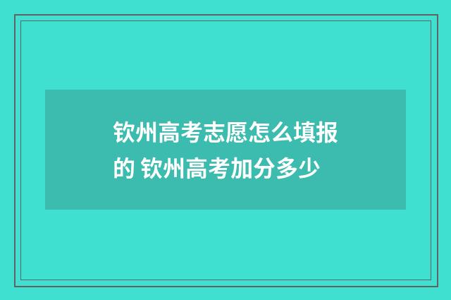 钦州高考志愿怎么填报的 钦州高考加分多少