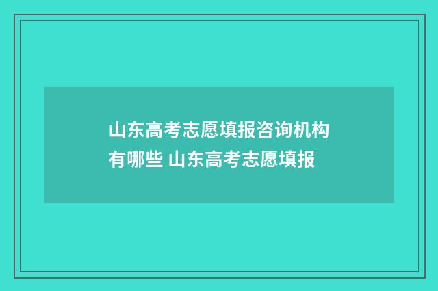 山东高考志愿填报咨询机构有哪些 山东高考志愿填报