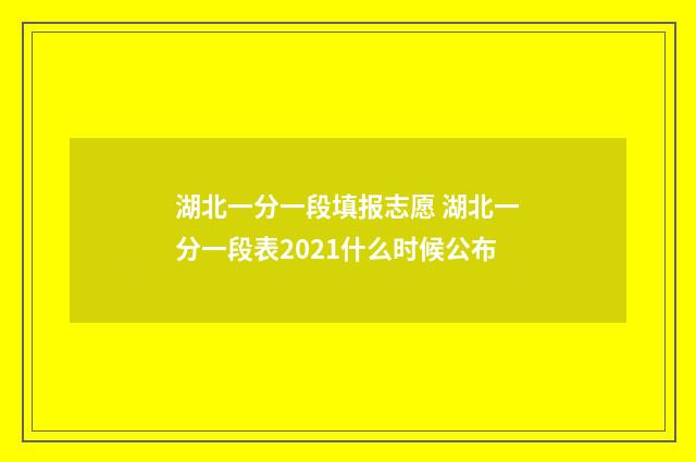 湖北一分一段填报志愿 湖北一分一段表2021什么时候公布