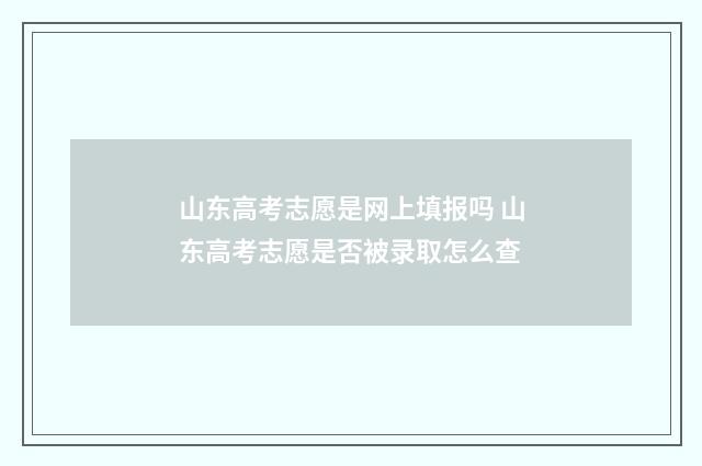 山东高考志愿是网上填报吗 山东高考志愿是否被录取怎么查