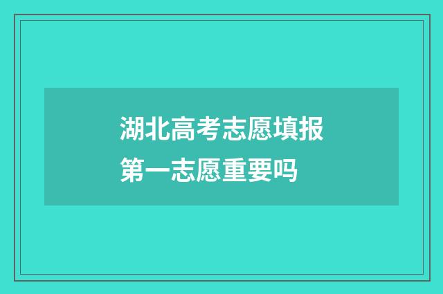 湖北高考志愿填报第一志愿重要吗
