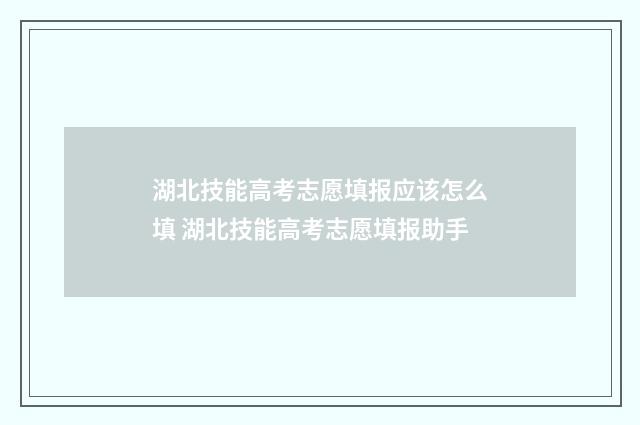 湖北技能高考志愿填报应该怎么填 湖北技能高考志愿填报助手