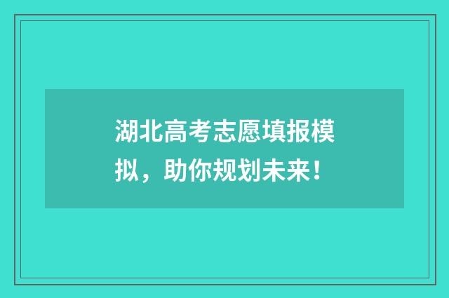湖北高考志愿填报模拟，助你规划未来！