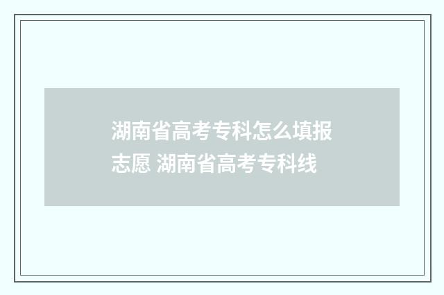 湖南省高考专科怎么填报志愿 湖南省高考专科线