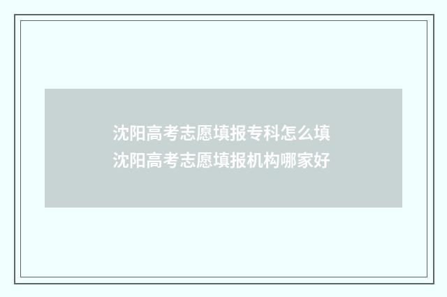 沈阳高考志愿填报专科怎么填 沈阳高考志愿填报机构哪家好