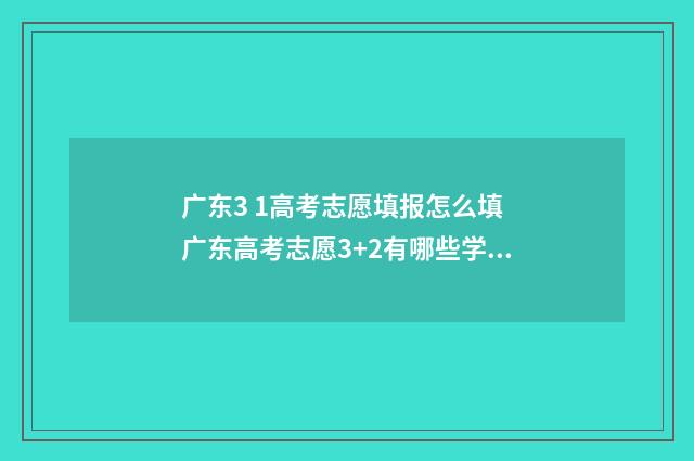 广东3 1高考志愿填报怎么填 广东高考志愿3+2有哪些学校