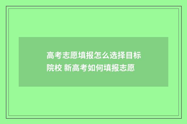 高考志愿填报怎么选择目标院校 新高考如何填报志愿