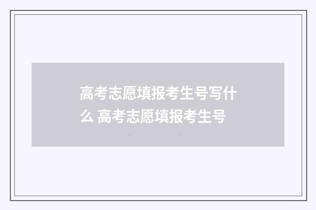 高考志愿填报考生号写什么 高考志愿填报考生号