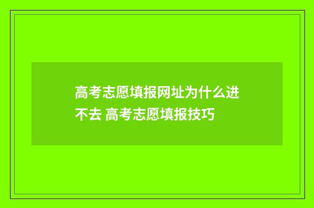 高考志愿填报网址为什么进不去 高考志愿填报技巧
