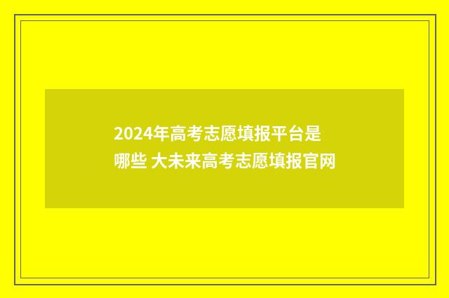 2024年高考志愿填报平台是哪些 大未来高考志愿填报官网