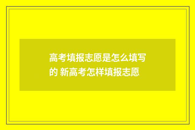 高考填报志愿是怎么填写的 新高考怎样填报志愿