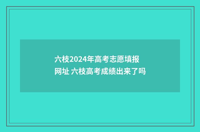 六枝2024年高考志愿填报网址 六枝高考成绩出来了吗