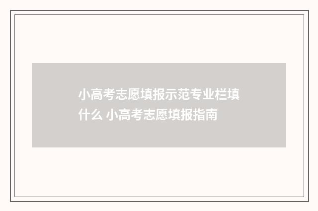 小高考志愿填报示范专业栏填什么 小高考志愿填报指南