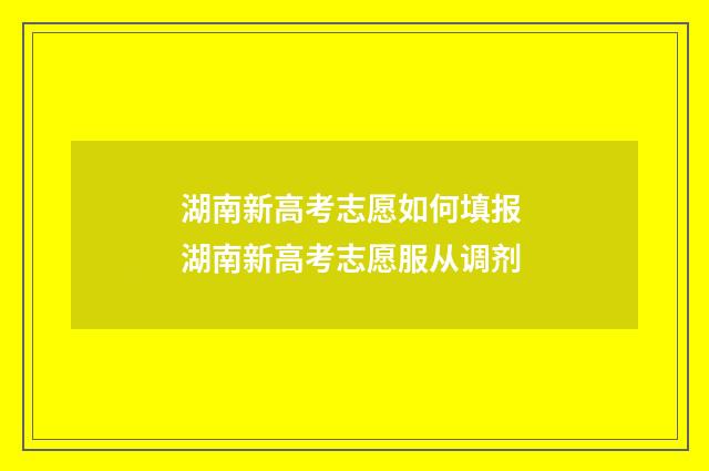湖南新高考志愿如何填报 湖南新高考志愿服从调剂