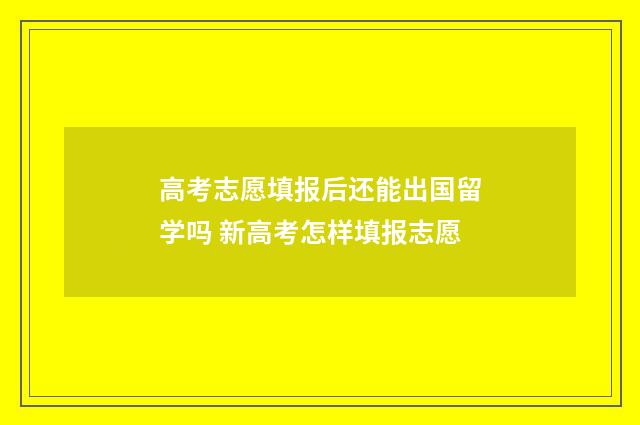 高考志愿填报后还能出国留学吗 新高考怎样填报志愿