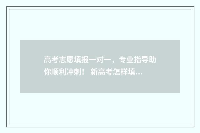 高考志愿填报一对一，专业指导助你顺利冲刺！ 新高考怎样填报志愿