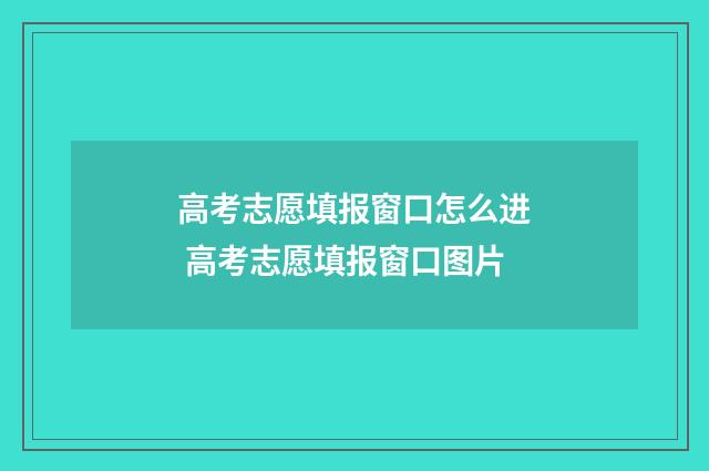 高考志愿填报窗口怎么进 高考志愿填报窗口图片