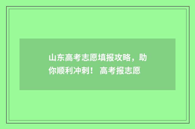 山东高考志愿填报攻略，助你顺利冲刺！ 高考报志愿