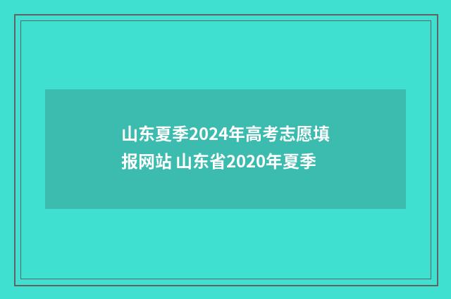 山东夏季2024年高考志愿填报网站 山东省2020年夏季
