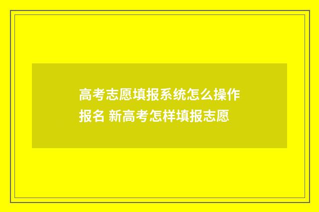 高考志愿填报系统怎么操作报名 新高考怎样填报志愿