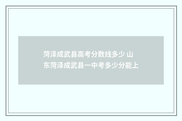 菏泽成武县高考分数线多少 山东菏泽成武县一中考多少分能上