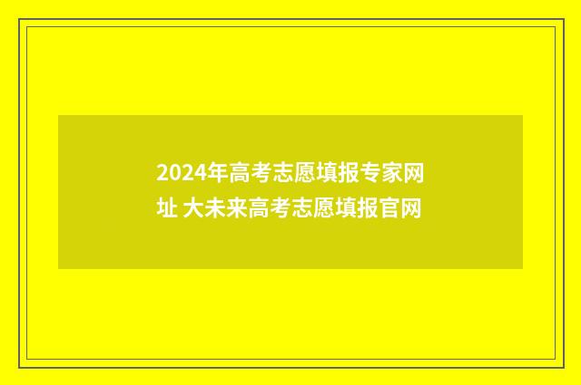 2024年高考志愿填报专家网址 大未来高考志愿填报官网