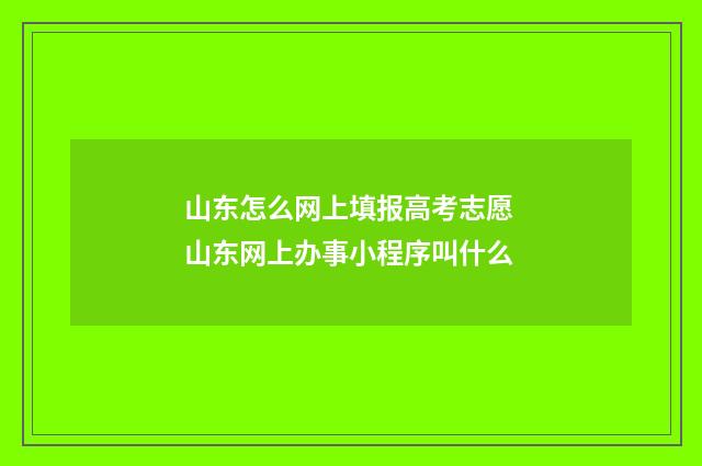 山东怎么网上填报高考志愿 山东网上办事小程序叫什么