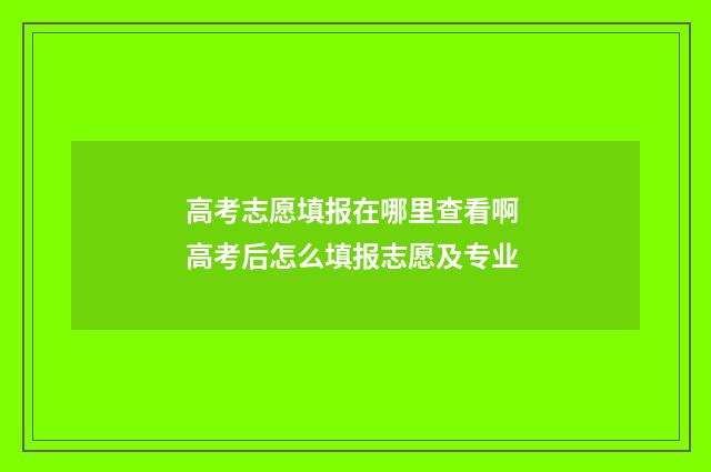 高考志愿填报在哪里查看啊 高考后怎么填报志愿及专业
