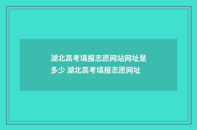 湖北高考填报志愿网站网址是多少 湖北高考填报志愿网址