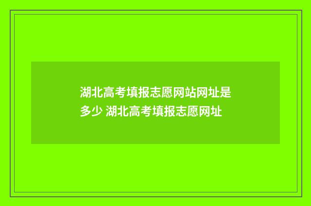 湖北高考填报志愿网站网址是多少 湖北高考填报志愿网址