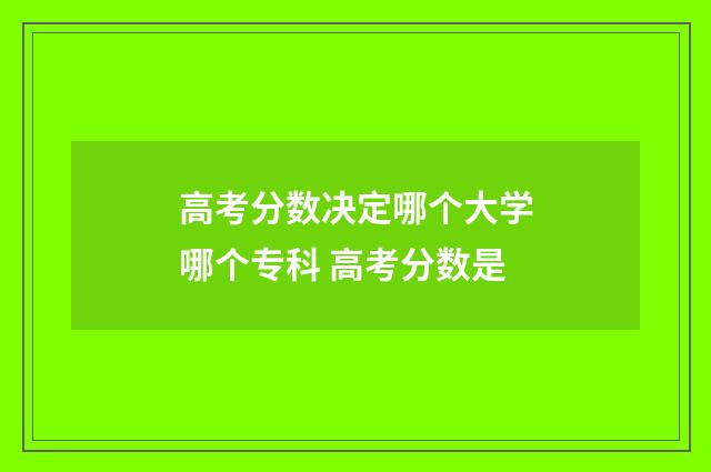高考分数决定哪个大学哪个专科 高考分数是