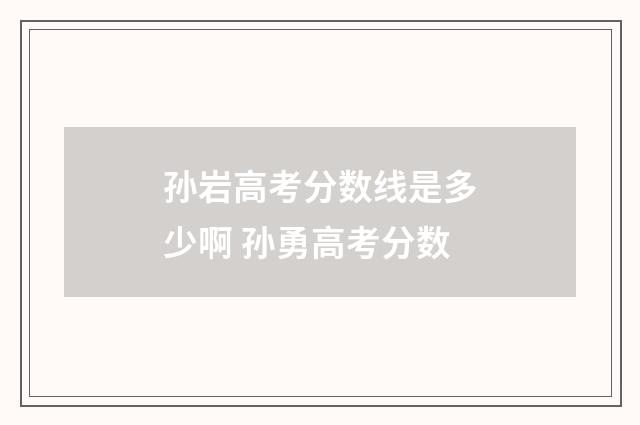 孙岩高考分数线是多少啊 孙勇高考分数