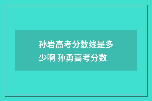 孙岩高考分数线是多少啊 孙勇高考分数