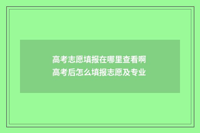 高考志愿填报在哪里查看啊 高考后怎么填报志愿及专业