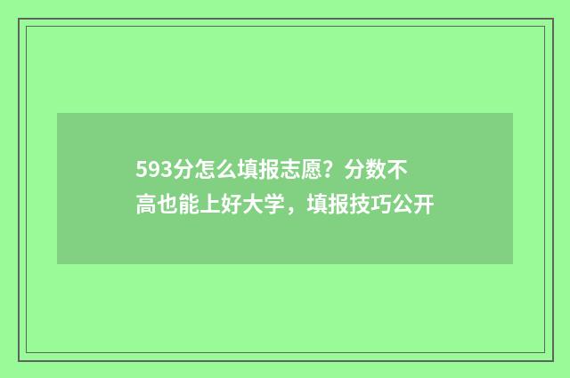 593分怎么填报志愿？分数不高也能上好大学，填报技巧公开