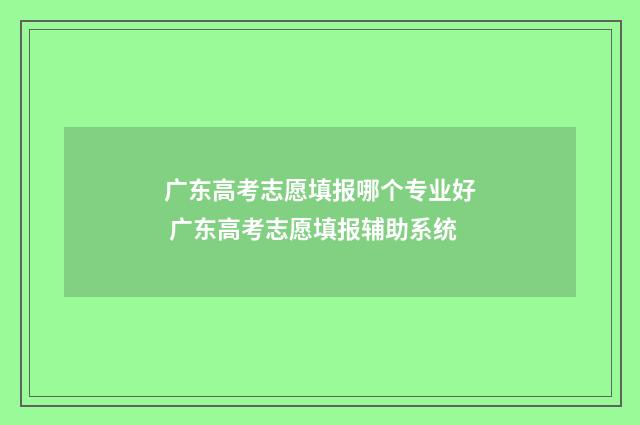 广东高考志愿填报哪个专业好 广东高考志愿填报辅助系统