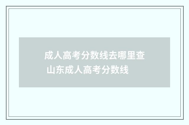 成人高考分数线去哪里查 山东成人高考分数线