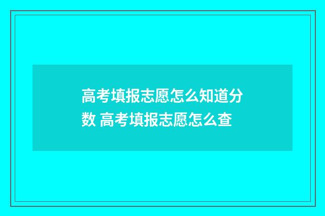高考填报志愿怎么知道分数 高考填报志愿怎么查