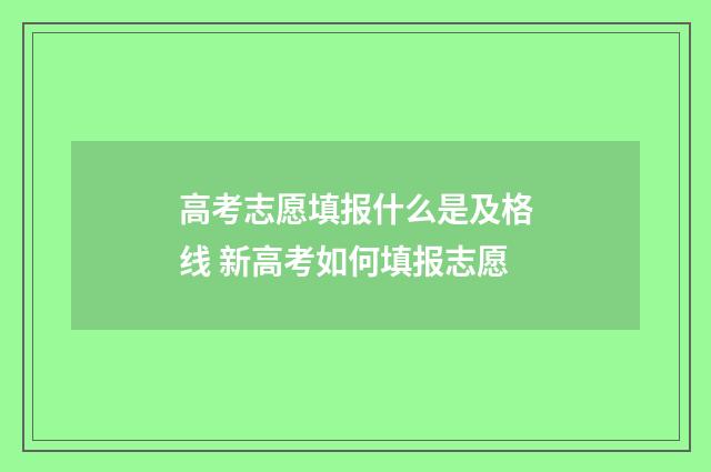 高考志愿填报什么是及格线 新高考如何填报志愿
