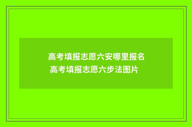 高考填报志愿六安哪里报名 高考填报志愿六步法图片