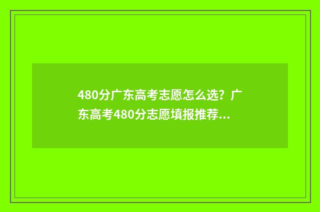 480分广东高考志愿怎么选？广东高考480分志愿填报推荐 广东高考480分排位