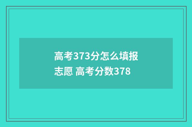 高考373分怎么填报志愿 高考分数378